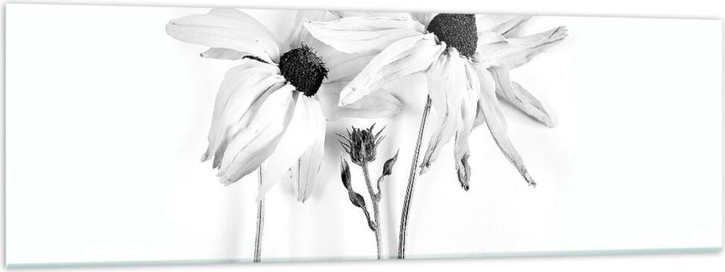 Bilder auf glas - Einteilig - Verwelkt Blumen Monochrom - 160x50cm - Glasbilder - Wandbilder - Bilder - Wanddekoration aus Glas - Glas Bilder - Wan...