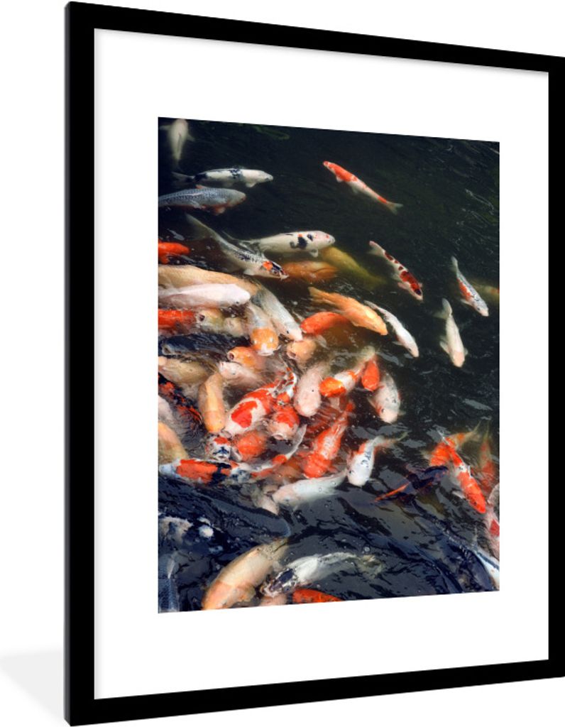 MuchoWow Gerahmtes Poster Ein voller Teich mit Koi-Karpfen 60x80 cm - Poster mit Schwarzem Bilderrahmen Wandposter Rahmen Foto Bilder - Wohnzimme...
