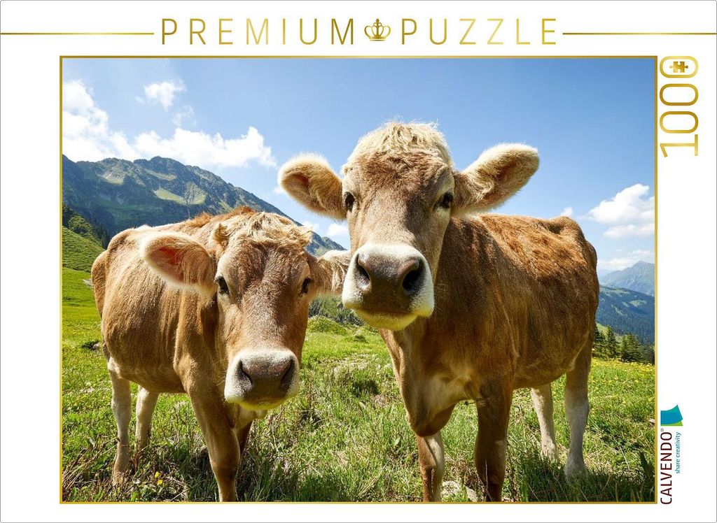 CALVENDO Puzzle Ein Foto fürs Familienalbum | 1000 Teile Lege-Größe 64x48cm Foto-Puzzle für glückliche Stunden