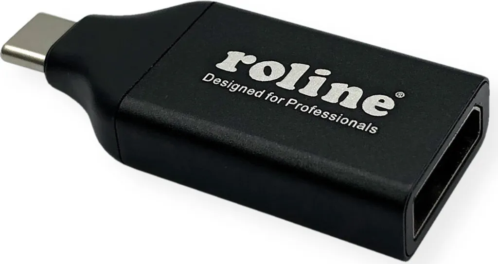 ROLINE Adaptateur USB C vers DisplayPort v1.2 - Convertisseur 4K 60Hz