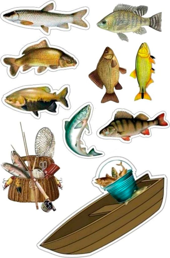 Fishing, Angler, Fisch 8 Stück, Boot Tortenaufleger Produktbild 
