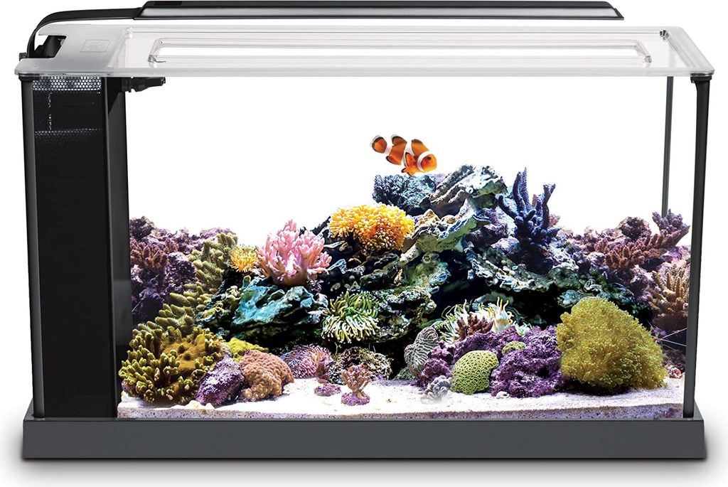 AQUARIEN Fluval Evo Meeresaquarium, Schwarz, 19L Produktbild 