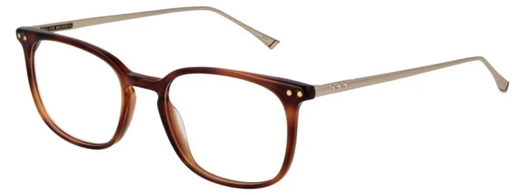 Lunettes Taylor Morris Tm06 49C2 - Style Professionnel et Confort Quotidien