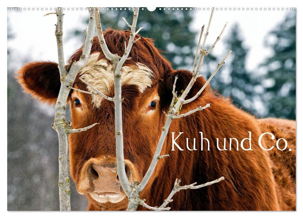 Kuh und Co. (Wandkalender 2027 DIN A2 quer), CALVENDO Monatskalender
