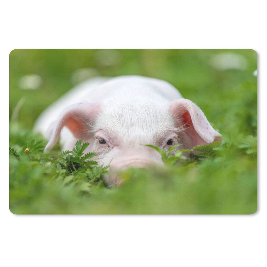 MuchoWow Mauspad Mousepad Schwein - Tiere - Groß 27x18 cm - Mousepads - Maus Mat - Pad - Mausunterlage - Büroartikel - Desk Matten