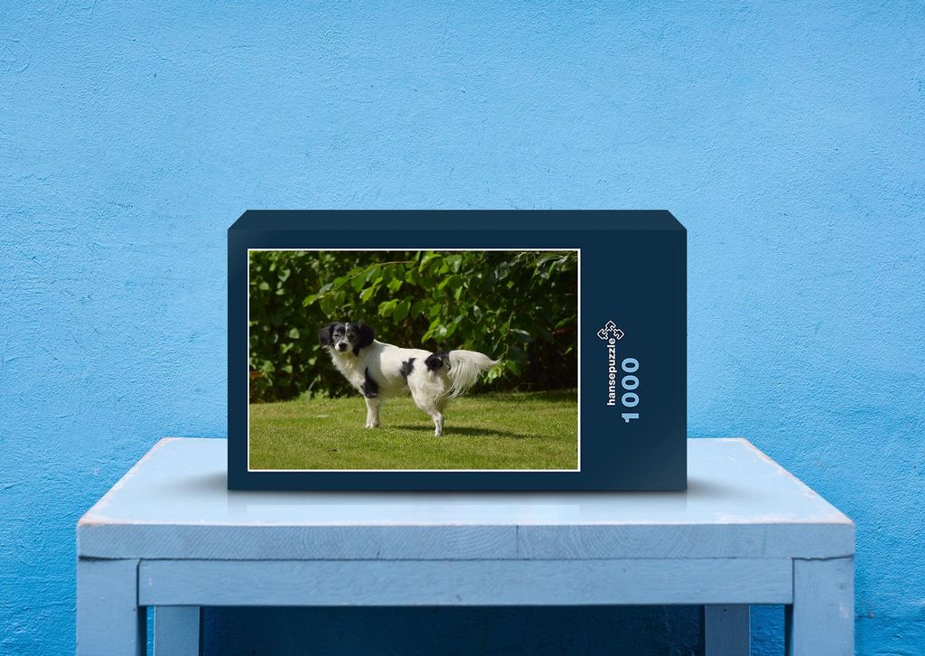 hansepuzzle 41250 - Happy Dog Puzzle, 1000 Teile, Tierwelt, 60,0 x 46,0cm mit hochwertiger Aufbewahrung, Kartonbox und wiederverschließbarem Beutel
