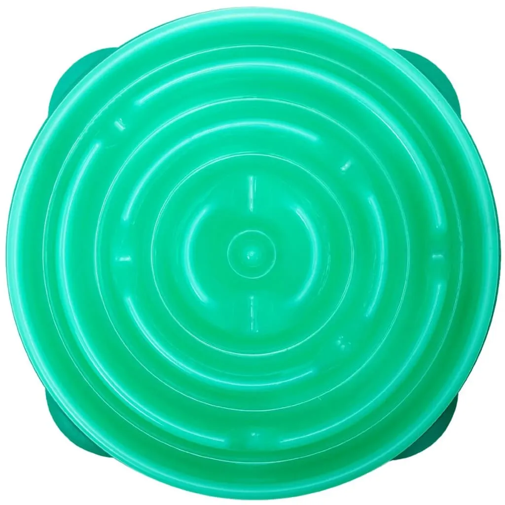 Ciotola anti-snack per cani Outward Hound Slo Bowl blu-verde 1578