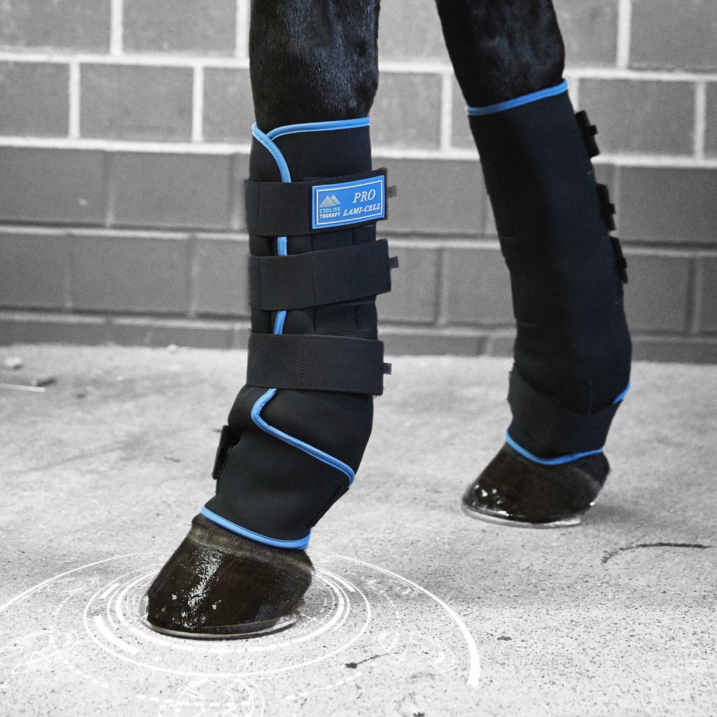 LAMI-CELL Ice Boots Gamaschen Kühltherapie Pro Cooling-Gel, Farbe:schwarz blau, Größe:Kaltblutgröße