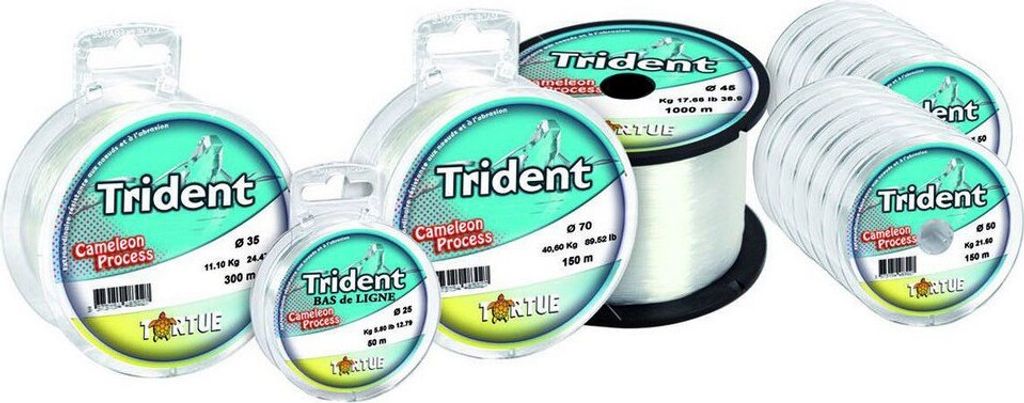 Tortue Trident Monofile Schnüre 150 M Durchsichtig 0.700 mm Durchsichtig 0.700 mm