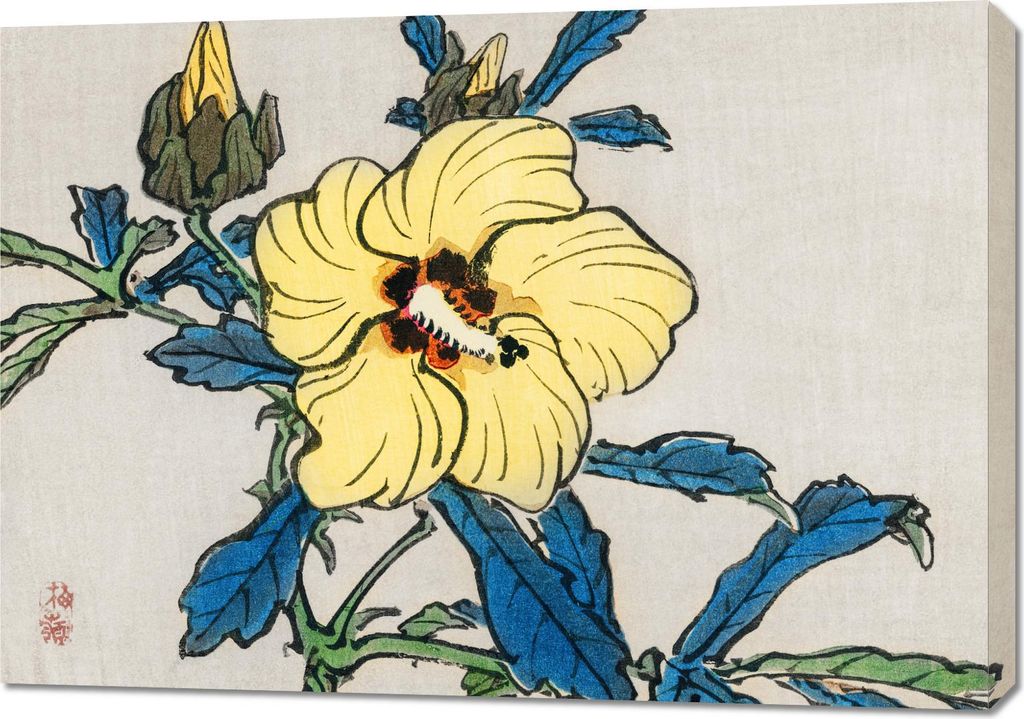 Bild 100x70cm Hibiskus, Kōno Bairei Japanisches Vintage für das Wohnzimmer