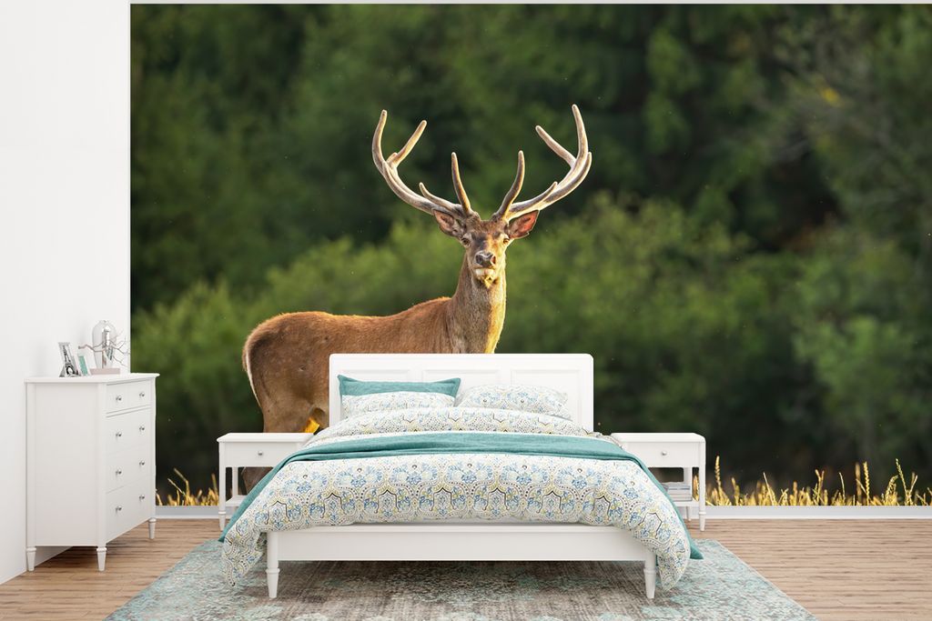 MuchoWow Fototapete für Wohnzimmer oder Schlafzimmer Wandtapete Vinyl Motivtapete Hirsch - Geweih - Gras - Natur - Tiere - Grün - 320x240 cm - ...