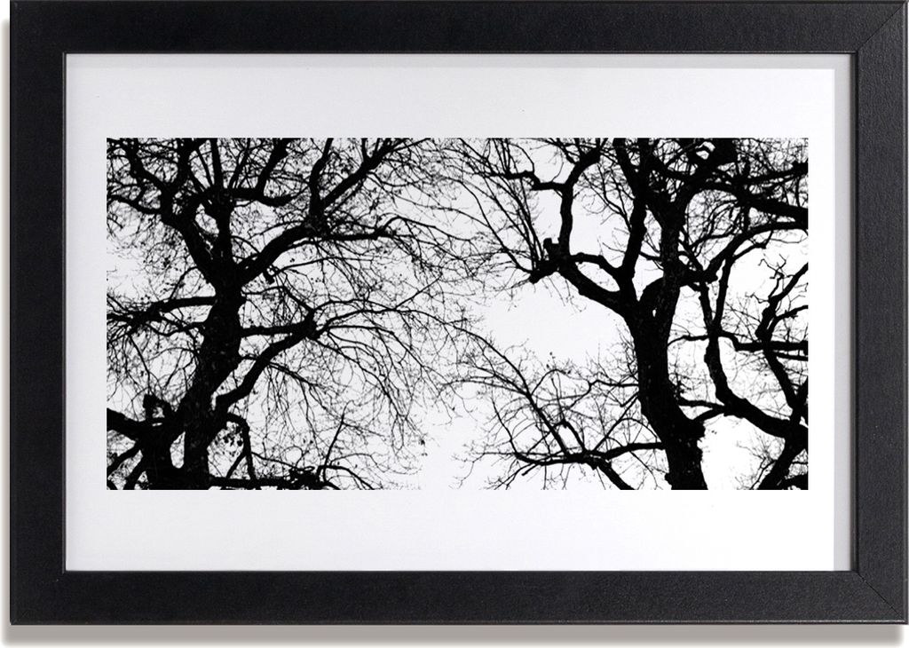 Bild 30x20 MDF-Rahmen Wandkunst Bäume Natur Schwarzweiss Produktbild 
