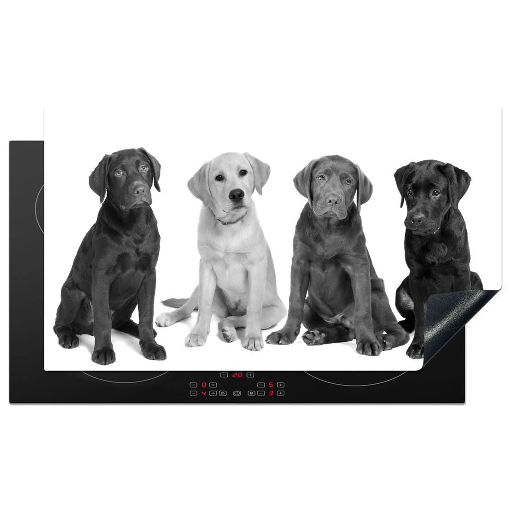 KitchenYeah Herdabdeckplatte 4 verschiedene Farben Labrador Retriever Welpen - schwarz und weiß , 90x52cm, Küche Deko, Glaskeramikkochfeld Herd...