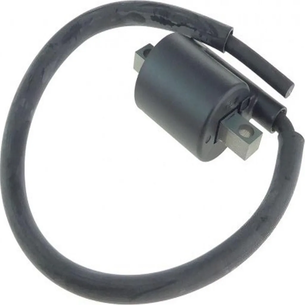 Bobine d'allumage pour Yamaha YFM 350 A Bruin 2WD 2004-2006 par pamoto
