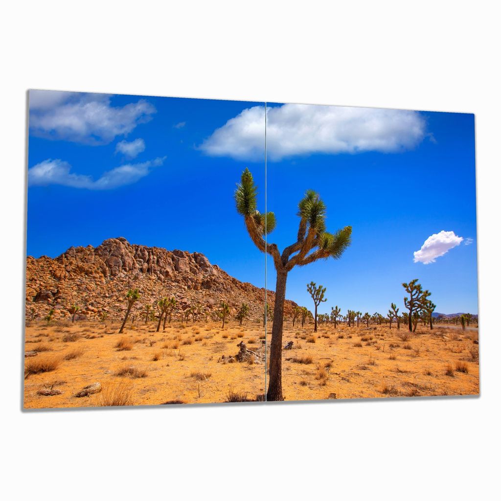 Wallario Herdabdeckplatte aus Glas, Größe 80 x 52 cm 2-teilig, Motiv Palmlilie im Nationalpark Yucca Valley Wüstenlandschaft