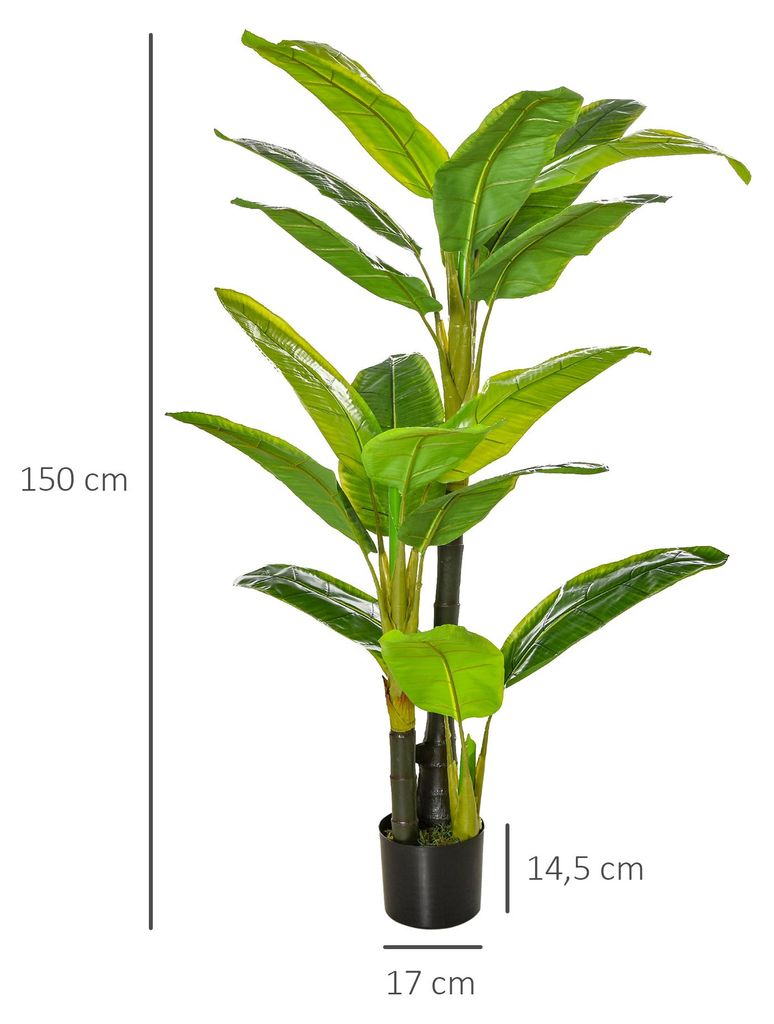 monstera direkt in übertopf Monstera deliciosa – ruuds main image 1