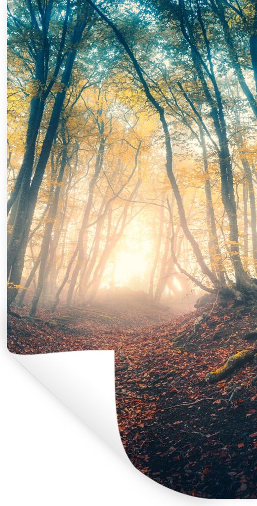 MuchoWow Wandtattoo Wandsticker Wandaufkleber Wald - Nebel - Sonne - Herbst 60x120 cm Selbstklebend und Repositionierbar - Selbstklebend - Fotota...
