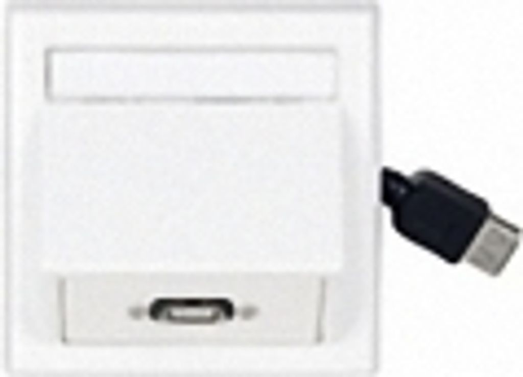 VivoLink - Ausgang - geeignet für Wandmontage - USB Type A (WI231275)