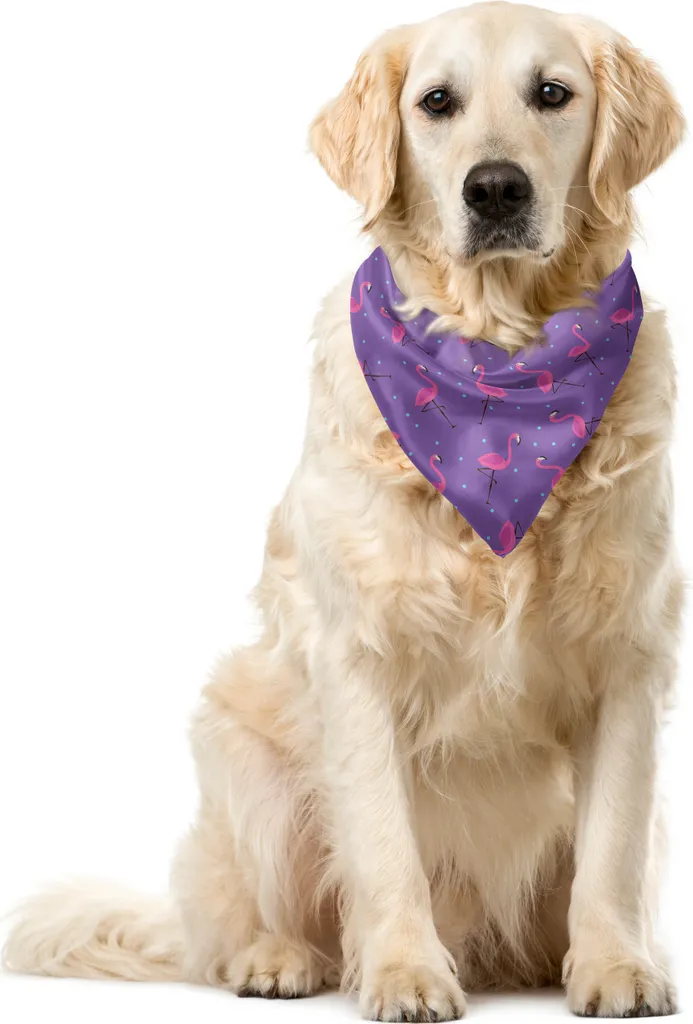 ABAKUHAUS Bandana Cani Flamingo 40x40 cm - Accessorio Colorato Pet