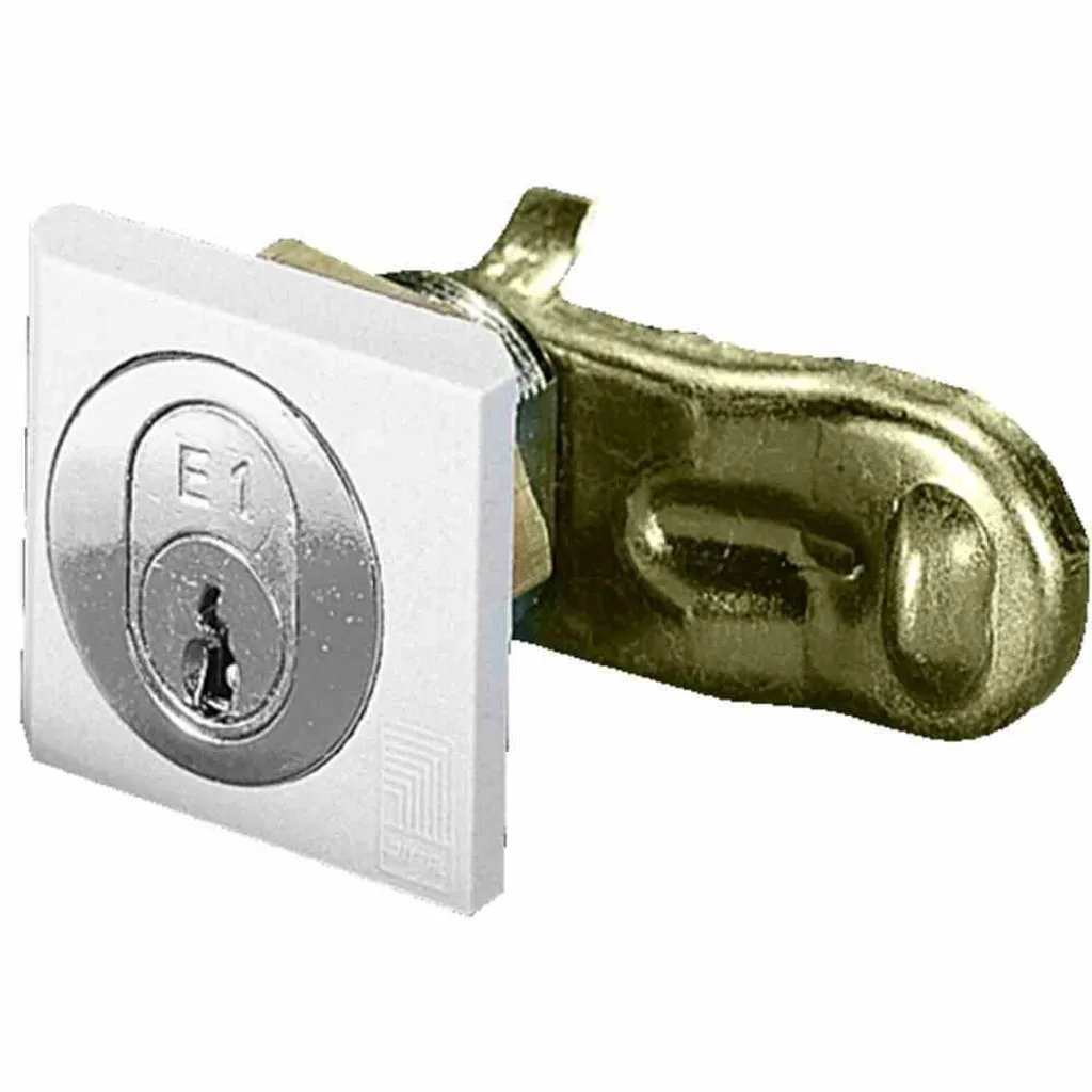 Fermeture à Came Rittal avec Insert de Sécurité pour Coffret AE - 2