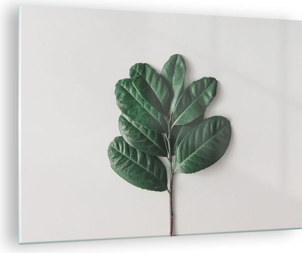 Bilder auf glas - Einteilig - Blätter Pflanzen Botanik - 70x50cm - Glasbilder - Wandbilder - Bilder - zum Aufhängen bereit - Wanddekoration aus G...