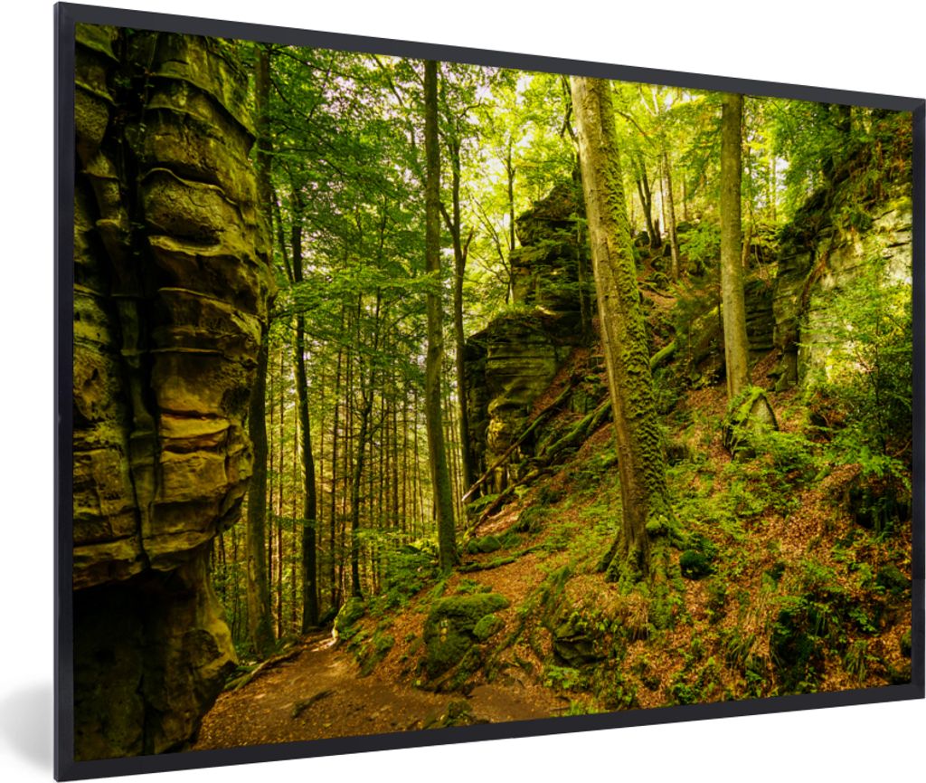 MuchoWow Gerahmtes Poster Bäume - Stein - Wald - Natur - Pflanzen 30x20 cm - Poster mit Schwarzem Bilderrahmen Wandposter Rahmen Foto Bilder - K...