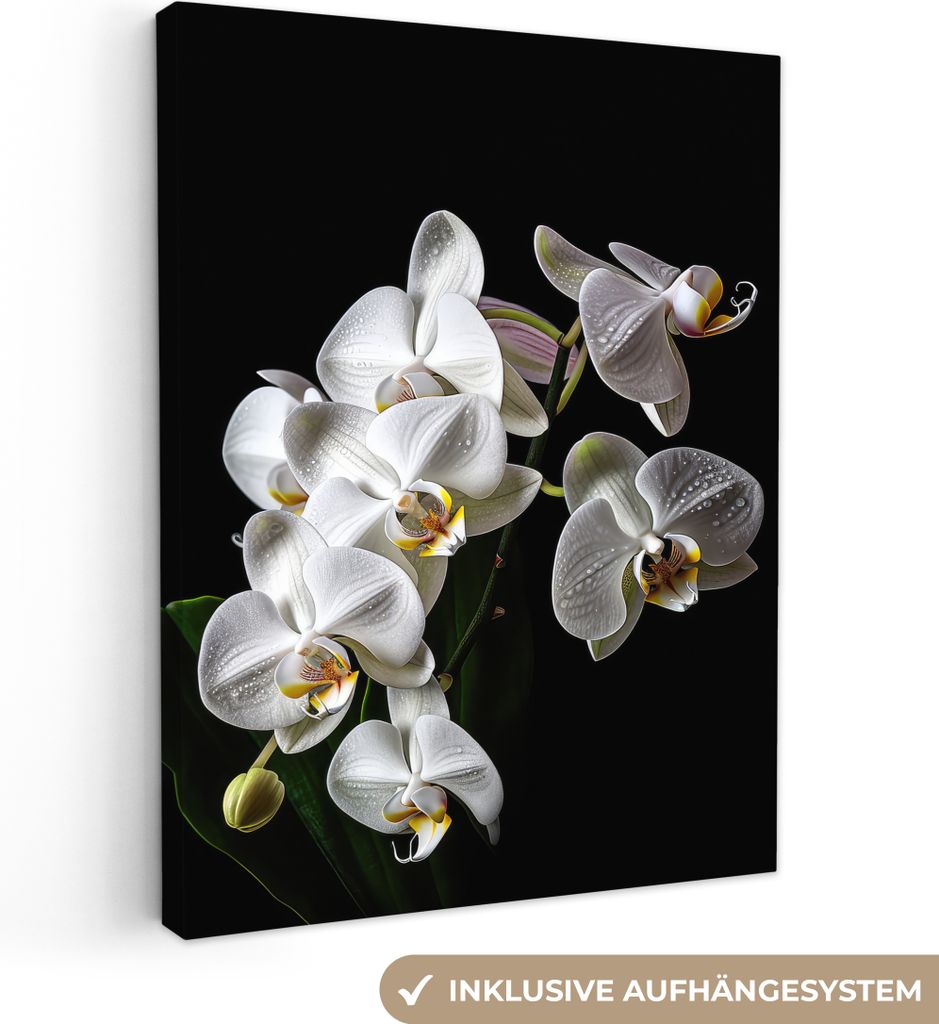 MuchoWow - Leinwandbilder - Orchidee - Blumen - Weiß - Natur - Schwarz, Wandbild, Wanddeko Bilder Wohnzimmer, 90x120 cm