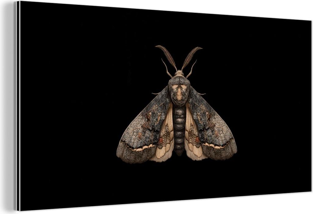 MuchoWow Wanddekoration Metall Metallbild Wandkunst 120x60 cm Motte - Blättrig - Grau MuchoWow Aluminium Gemälde - Metalbilder