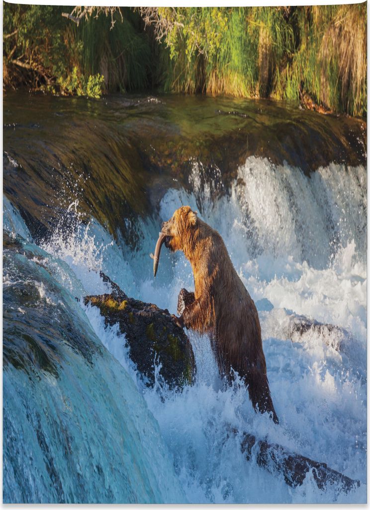 Abakuhaus Bär Wandteppich, Alaska Wasserfall Wildfie aus Weiches Mikrofaser Stoff Kein Verblassen Klare Farben Waschbar, 110 x 150 cm, Mehrfarbig