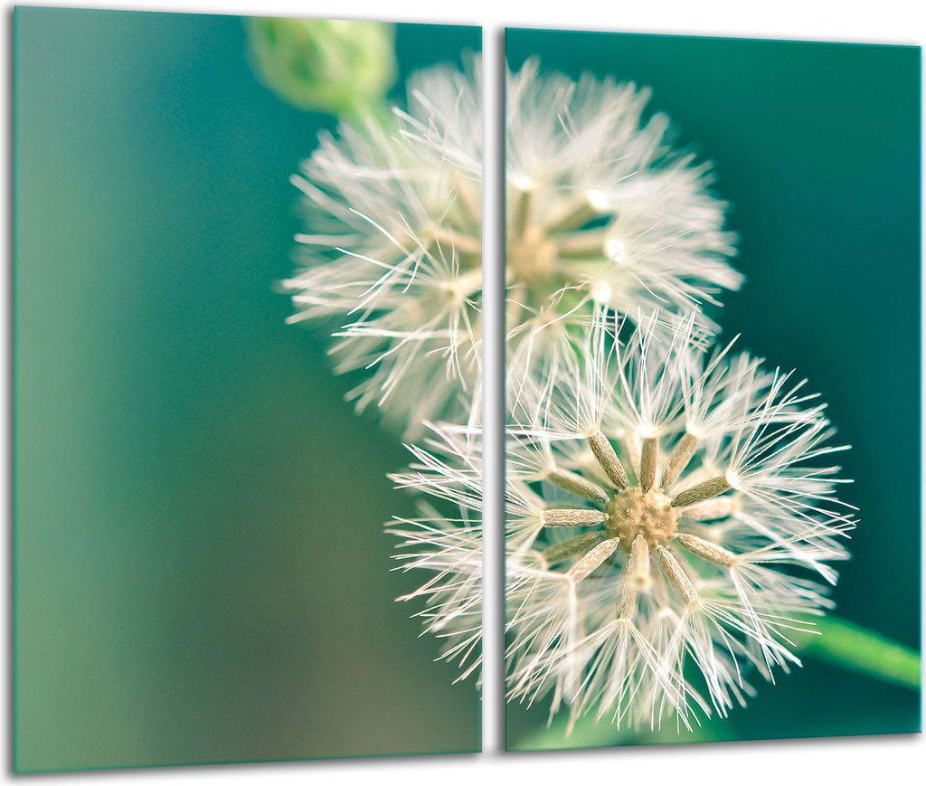 Herdabdeckplatten 2 teilig 30x52 Glaskeramikfeld Abdeckung Glas Blumen
