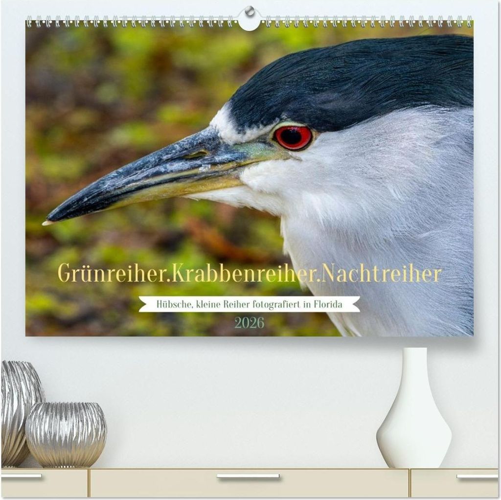 Grünreiher - Krabbenreiher - Nachtreiher (hochwertiger Premium Wandkalender 2026 DIN A2 quer), Kunstdruck in Hochglanz