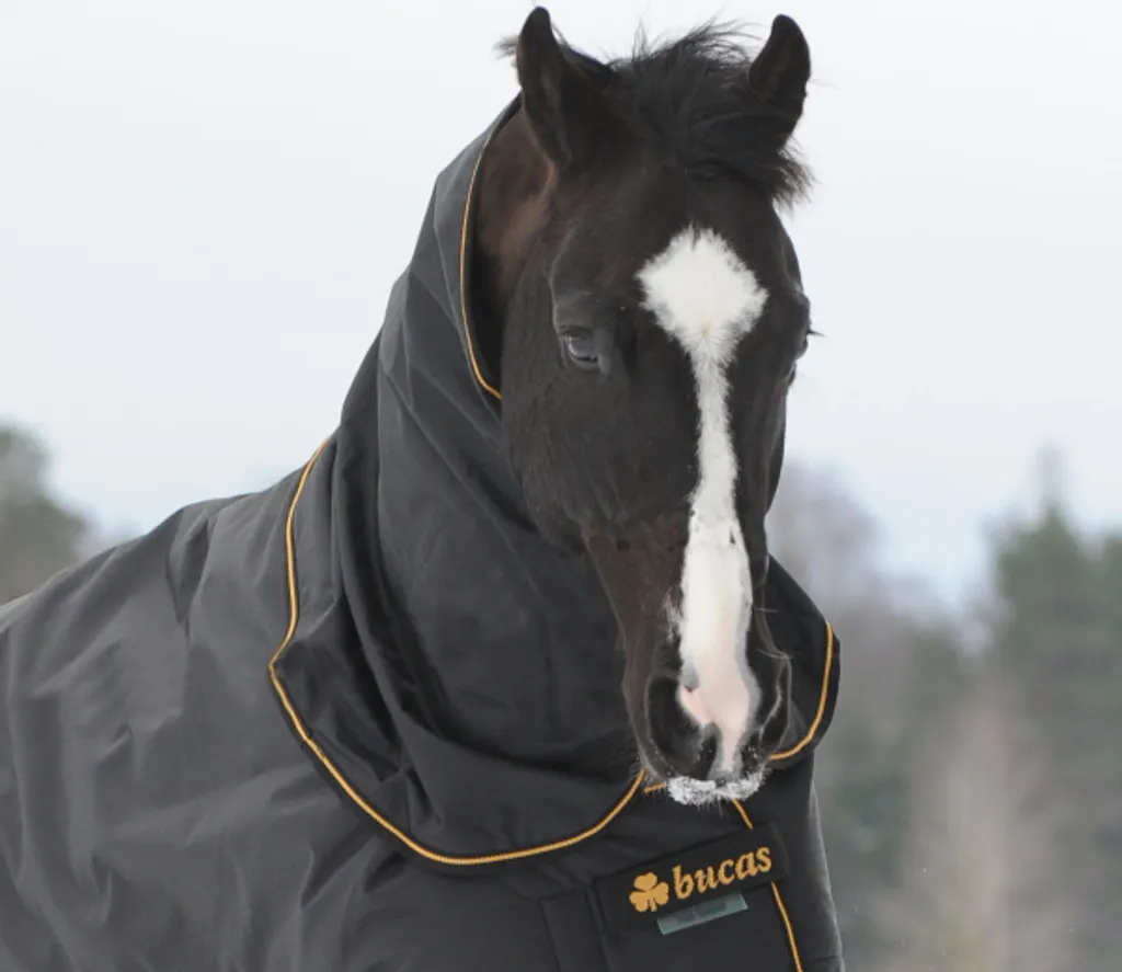 Protège-cou Imperméable pour Cheval Bucas Irish Turnout 300g Black
