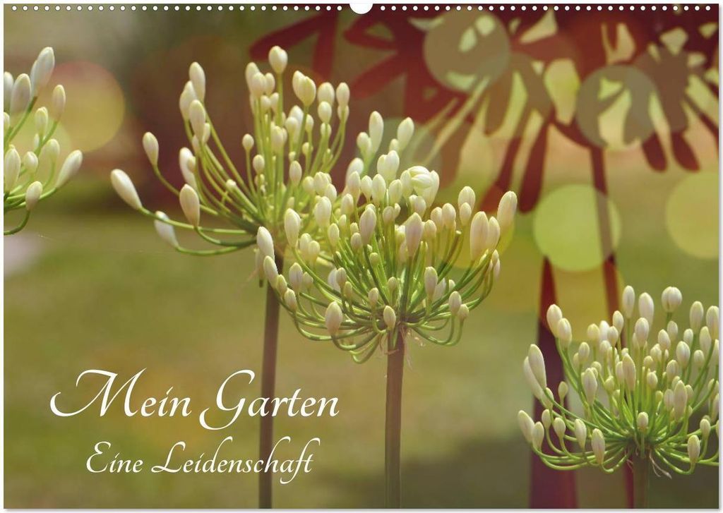 Mein Garten Eine Leidenschaft (Wandkalender 2026 DIN A2 quer), CALVENDO Monatskalender