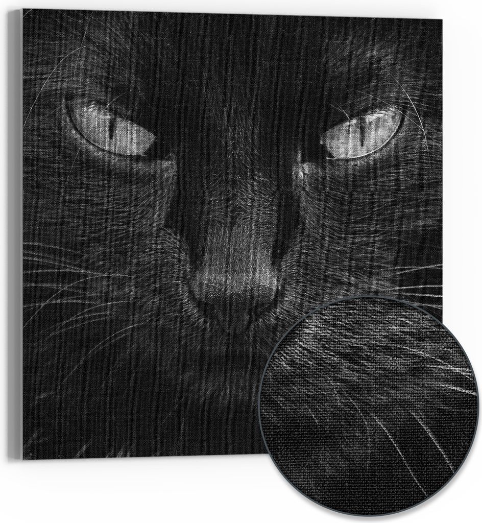 DEQORI Hybrid Leinwand Bild 50x50 cm 'Mystische Katzenaugen' Wandbild Glas flach modern