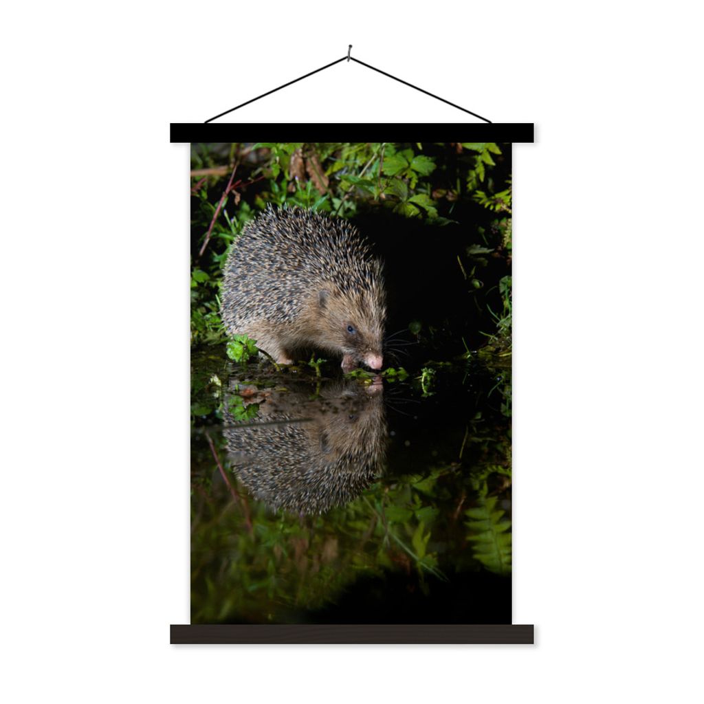 MuchoWow Textilposter Igel trinkt Wasser 60x90 cm mit schwarzem Rahmen - Poster Wohnzimmer