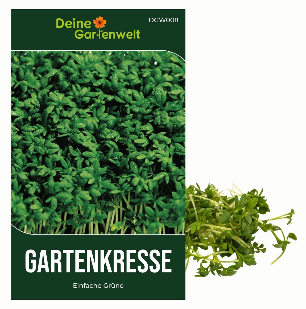 Gartenkresse Einfache Grüne Samen - Lepidium sativum - Gartenkressesamen - Kräutersamen - Saatgut für 1.000 Pflanzen
