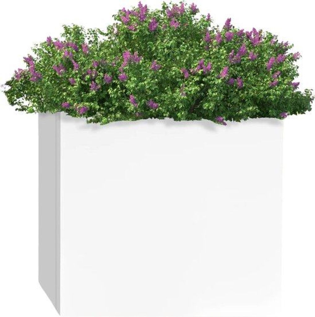 Vierkante plantenbak - 50CM - Wit - Kunststof - Binnen- en buitentuin - Dekoratief - Plantenbak
