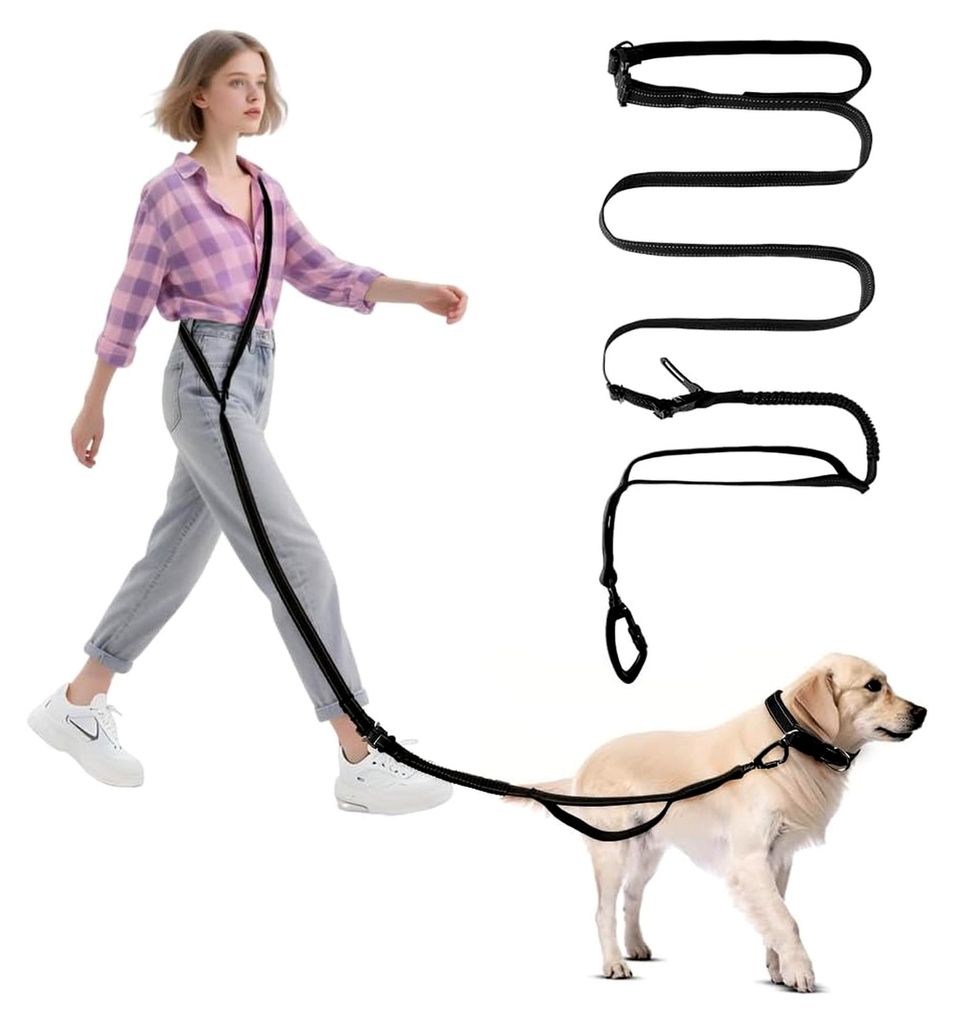 Freihandleine für Hunde, 2,5 m Joggingleine, verstellbarer Hüftgurt & dehnbare Bungee-Leine, lange Hundeleine mit Sicherheitsschnalle & reflektie...