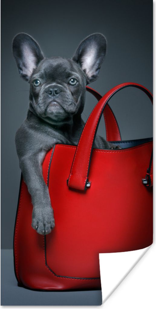 MuchoWow Poster Hund - Lustig - Tasche - Kinder - Jungen - Mädchen - Kinder 40x80 cm - Dekoration