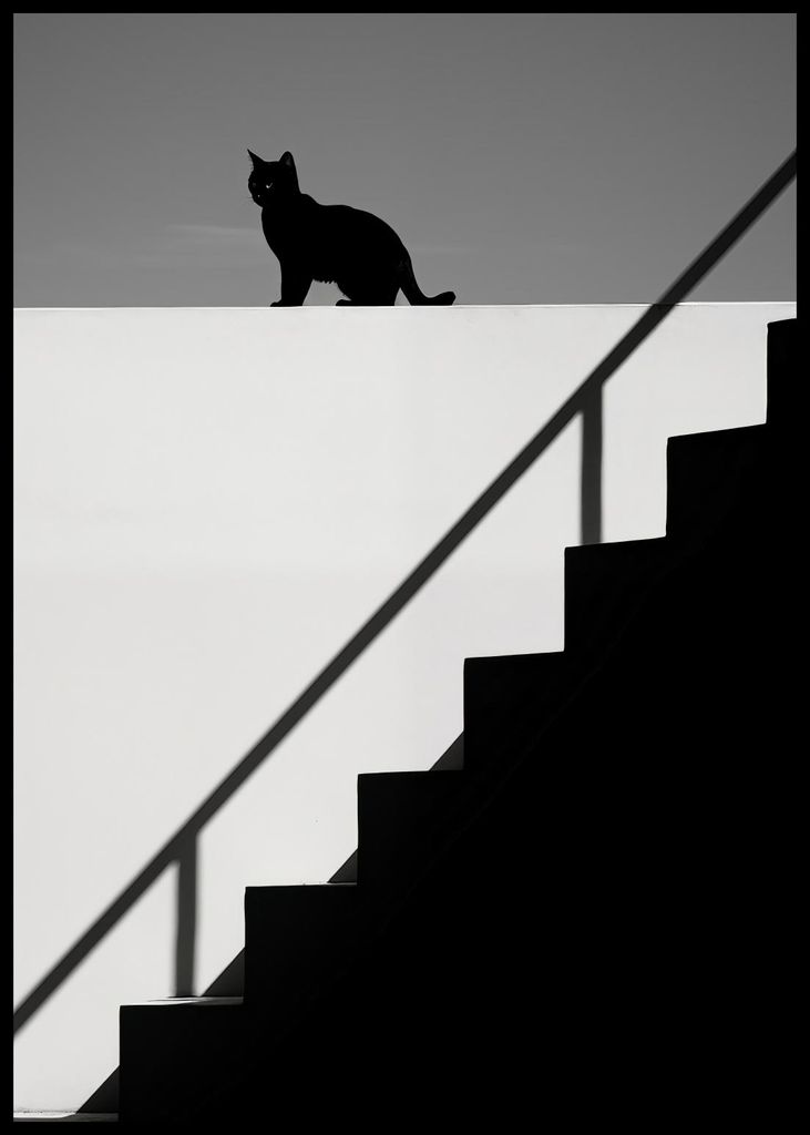 Plakat 59,4x84,1cm Silhouette und Symmetrie
