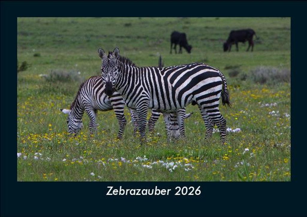 Zebrazauber 2026 Fotokalender - Querformat DIN A5, Monatskalender mit Bild-Motiven von Haustieren, Bauernhof, wilden Tieren und Raubtieren