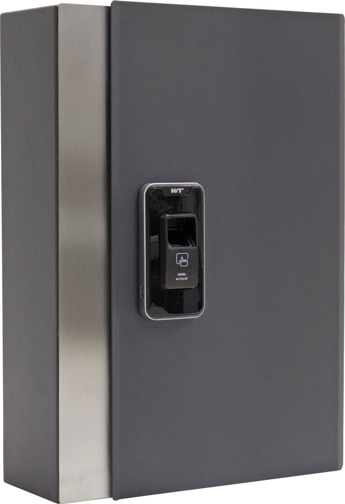 Profirst Schlüsselschrank Stans 68 Fingerprint anthrazit Produktbild 
