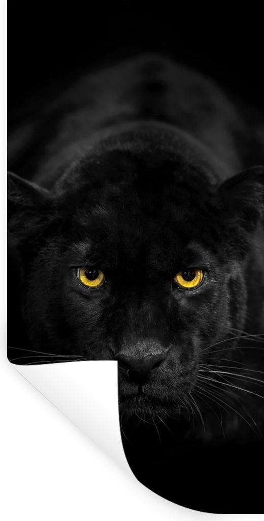 MuchoWow Wandtattoo Wandsticker Wandaufkleber Leopard - Augen - Schwarz 40x80 cm Selbstklebend und Repositionierbar - Repositionierbar - Wasser a...