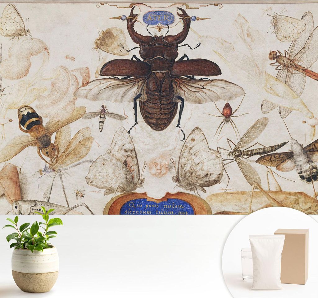 Fototapete - 104x70 cm - Tapete - Wandtapete - Wandbilder - Dekofolie - Tapete Folie - Wand - Dekoration - Wohnzimmer - Natürliche Harmonie