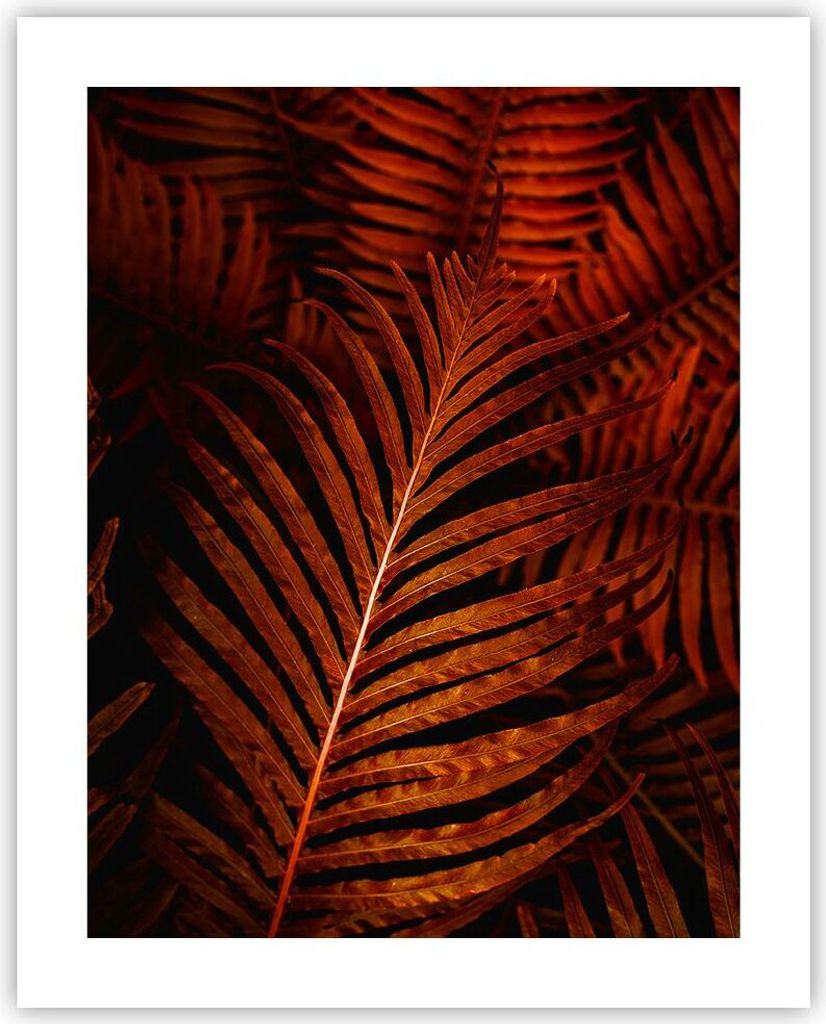 Poster - Poster ohne Rahmen - Rot Blätter Palmen - 40x50 cm - Wand Bild - Wanddeko - Wandbilder - Kunstposter - Wandposter - Bilder - Kunstdruck -...