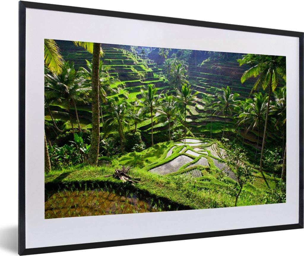 MuchoWow MuchoWow Gerahmtes Poster Spektakuläre Reisfelder nördlich von Ubud 60x40 cm - Poster mit zchwarzem Bilderrahmen - Schlafzimmer - Pl...