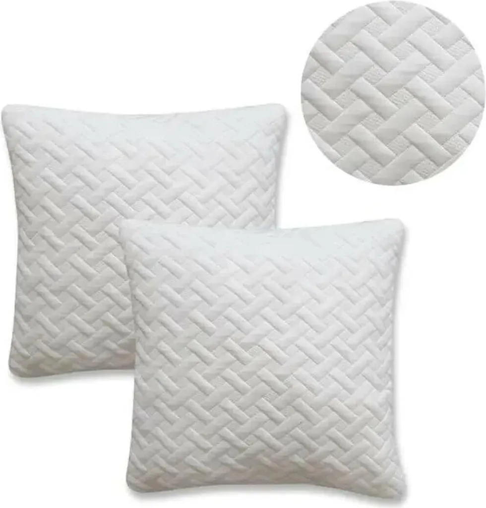 Lot de 2 coussins TODAY 40x40 cm - Garnissage moelleux et confort