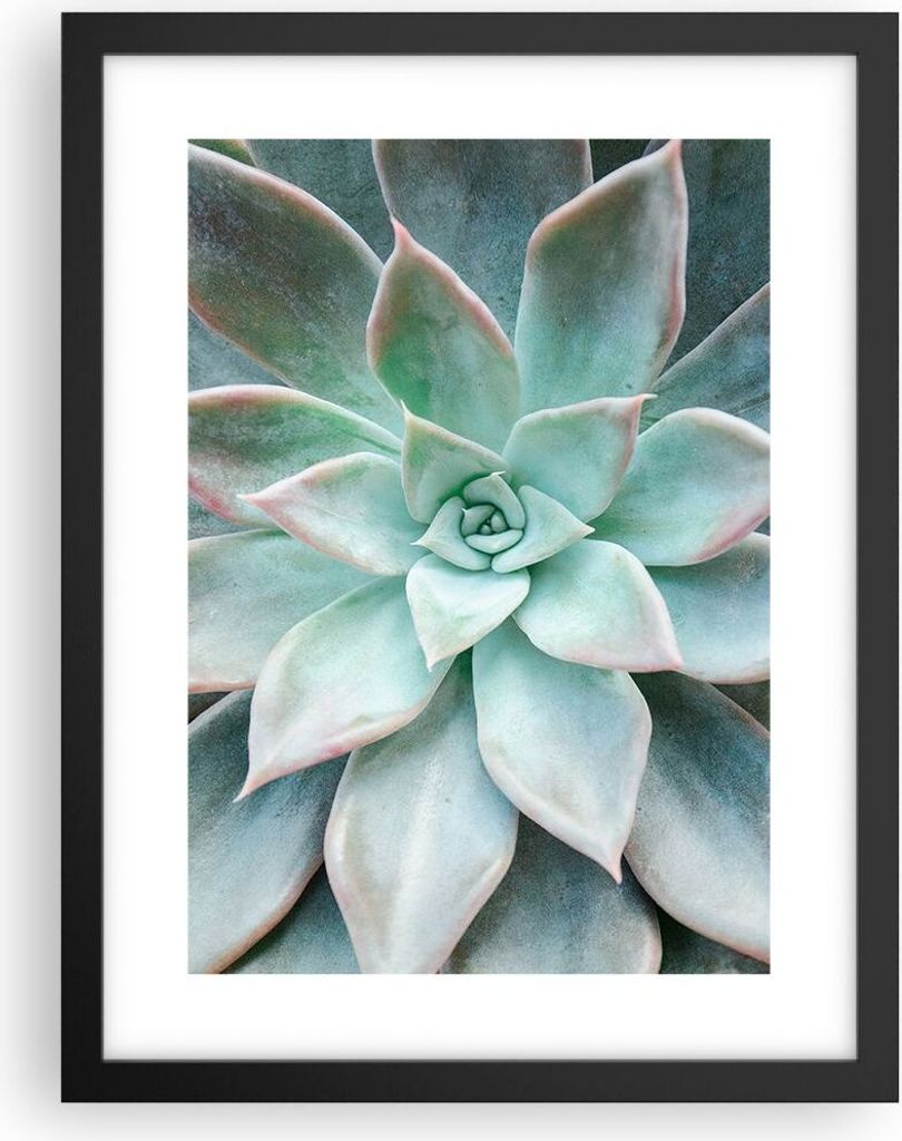 Gerahmtes Poster - Schwarzer Rahmen - Blau Blätter Agave - 30x40 cm - Wand Bild - Wanddeko - Wandbilder - Kunstposter - Wandposter - Bilderrahmen ...