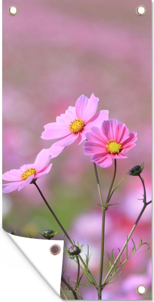 MuchoWow 80x160 cm Outdoor-Poster Gartendeko Sichtschutz Garten Poster für den Garten Blumen - Draußen - Rosa