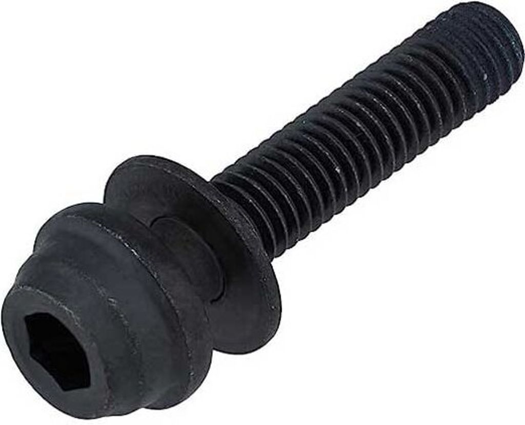 Shimano Br-r8170 Scheibenbremsschrauben 20 Mm One Size